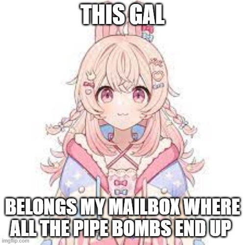 THIS GAL; BELONGS MY MAILBOX WHERE ALL THE PIPE BOMBS END UP | image tagged in vtuber,pipkin,pippa,pipe bomb,mailbox | made w/ Imgflip meme maker
