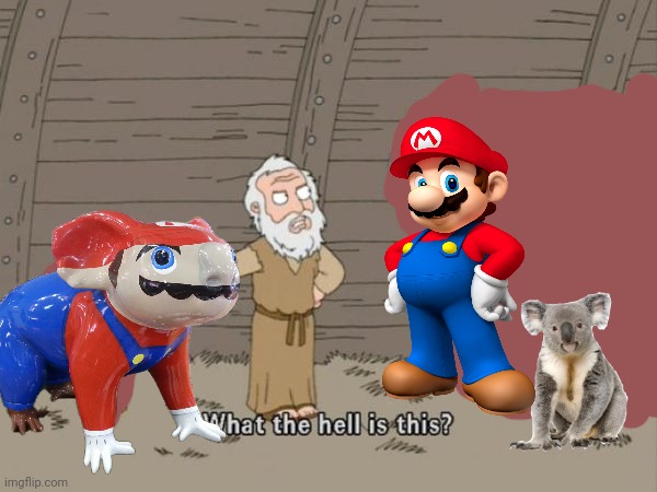 What the hell is this? | image tagged in what the hell is this,koala,mario | made w/ Imgflip meme maker
