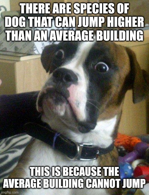 Blankie the Shocked Dog | THERE ARE SPECIES OF DOG THAT CAN JUMP HIGHER THAN AN AVERAGE BUILDING; THIS IS BECAUSE THE AVERAGE BUILDING CANNOT JUMP | image tagged in blankie the shocked dog | made w/ Imgflip meme maker