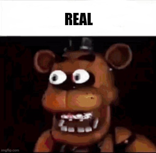 Shocked Freddy Fazbear | REAL | image tagged in shocked freddy fazbear | made w/ Imgflip meme maker