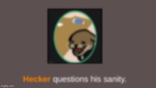 Hecker Questions his sanity | image tagged in hecker questions his sanity | made w/ Imgflip meme maker