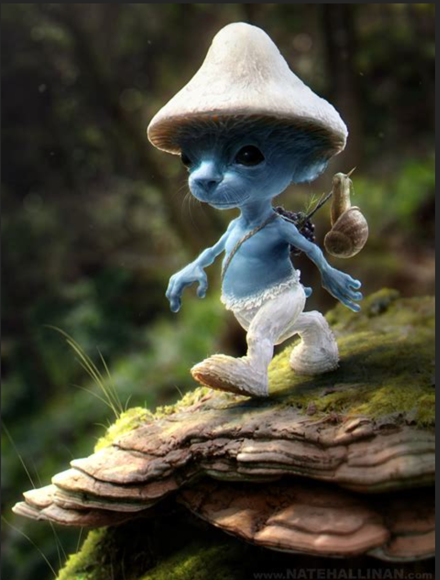 Blue Smurf cat Blank Template Imgflip