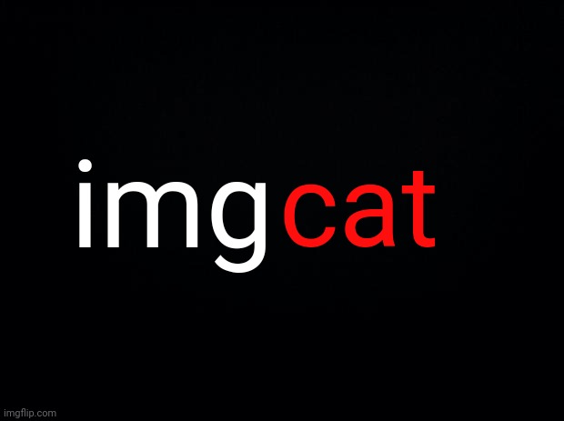 Black background | img cat | image tagged in black background | made w/ Imgflip meme maker