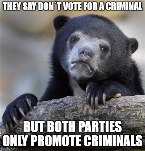 Confession Bear | THEY SAY DON´T VOTE FOR A CRIMINAL; BUT BOTH PARTIES ONLY PROMOTE CRIMINALS | image tagged in memes,confession bear | made w/ Imgflip meme maker