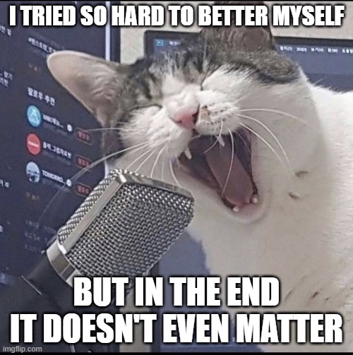 Had to do another Linkin Park song reference too | I TRIED SO HARD TO BETTER MYSELF; BUT IN THE END IT DOESN'T EVEN MATTER | image tagged in cat singing into microphone,memes,linkin park,relatable,dank memes,music meme | made w/ Imgflip meme maker