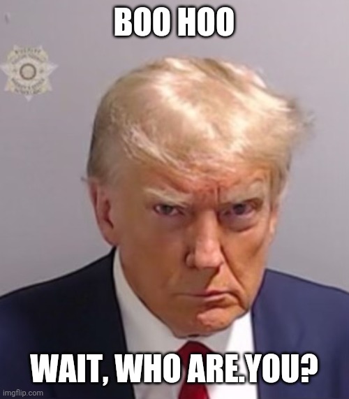 Donald Trump Mugshot | BOO HOO WAIT, WHO ARE.YOU? | image tagged in donald trump mugshot | made w/ Imgflip meme maker