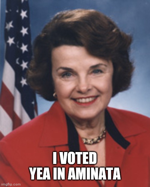 dianne feinstein | I VOTED YEA IN AMINATA | image tagged in dianne feinstein | made w/ Imgflip meme maker