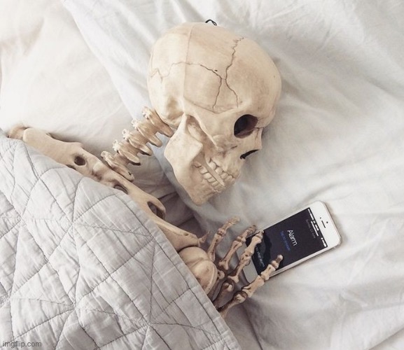 Sleepy Skeloton | image tagged in sleepy skeloton | made w/ Imgflip meme maker