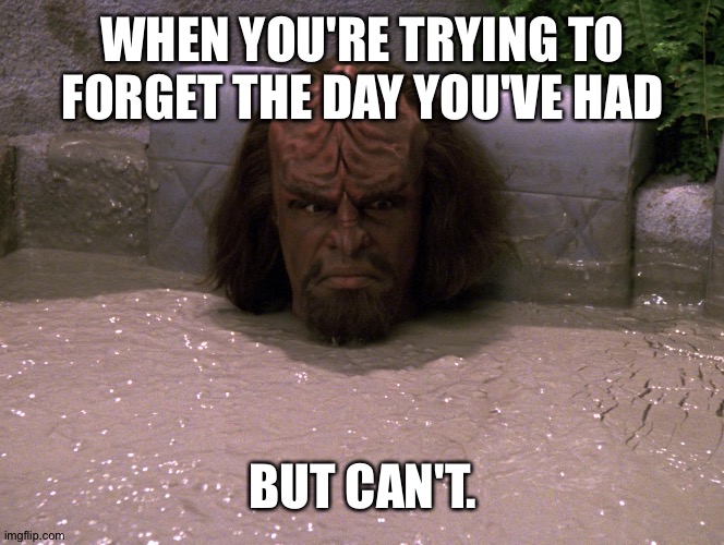 J'klag n'Ghoj | WHEN YOU'RE TRYING TO FORGET THE DAY YOU'VE HAD; BUT CAN'T. | image tagged in lieutenant worf | made w/ Imgflip meme maker