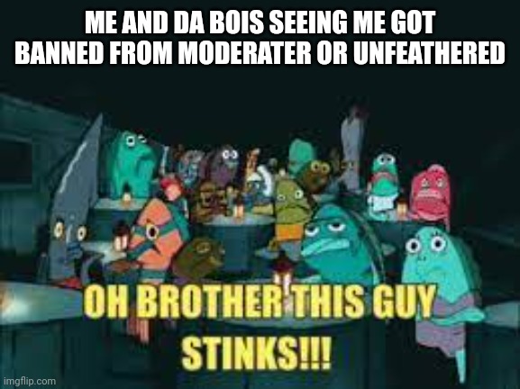 Spongebob Oh Brother This Guy Stinks | ME AND DA BOIS SEEING ME GOT BANNED FROM MODERATER OR UNFEATHERED | image tagged in spongebob oh brother this guy stinks | made w/ Imgflip meme maker
