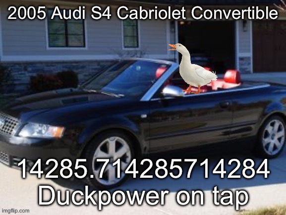 Duck with Duck Power under the hood | image tagged in duck,power,audi | made w/ Imgflip meme maker