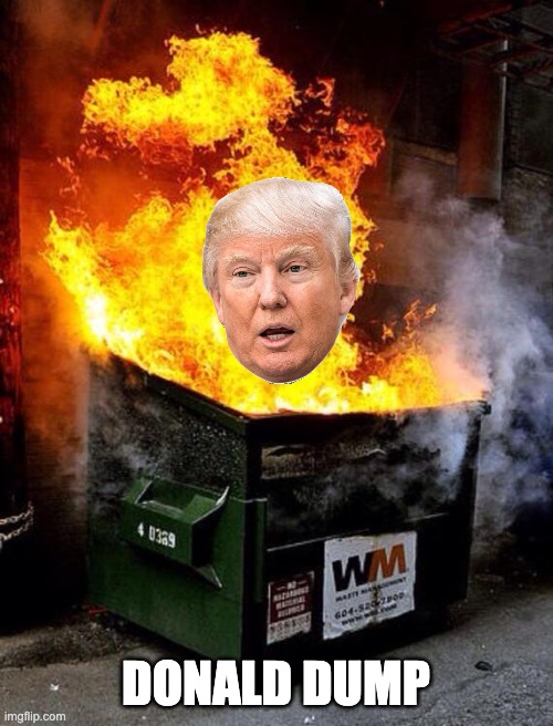 Dumpster Fire | DONALD DUMP | image tagged in dumpster fire | made w/ Imgflip meme maker