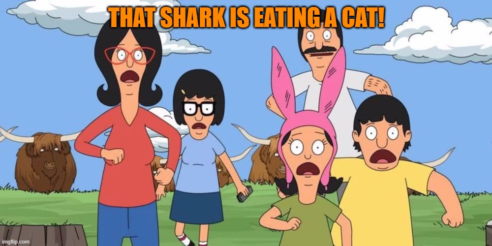 THAT SHARK IS EATING A CAT! | image tagged in bobs burgers | made w/ Imgflip meme maker