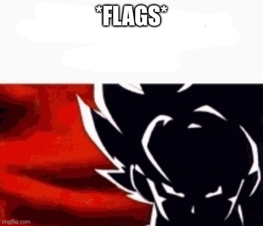 i saw what you deleted | *FLAGS* | image tagged in i saw what you deleted | made w/ Imgflip meme maker