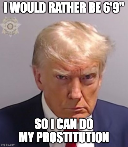 Donald Trump Mugshot | I WOULD RATHER BE 6'9" SO I CAN DO MY PROSTITUTION | image tagged in donald trump mugshot | made w/ Imgflip meme maker