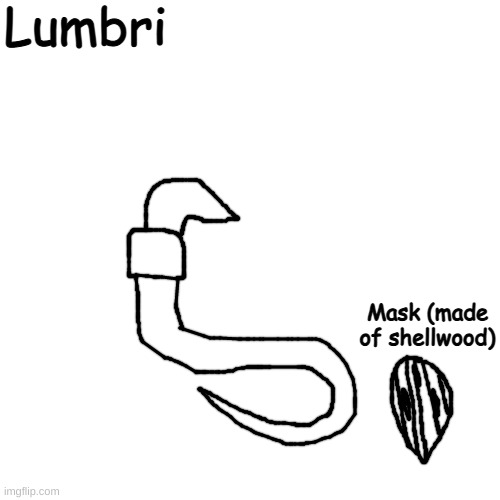 "Wherever I go, this... PEST follows me, devouring the corpses I do not eat. It... unsettles me." -The Hunter | Lumbri; Mask (made of shellwood) | made w/ Imgflip meme maker