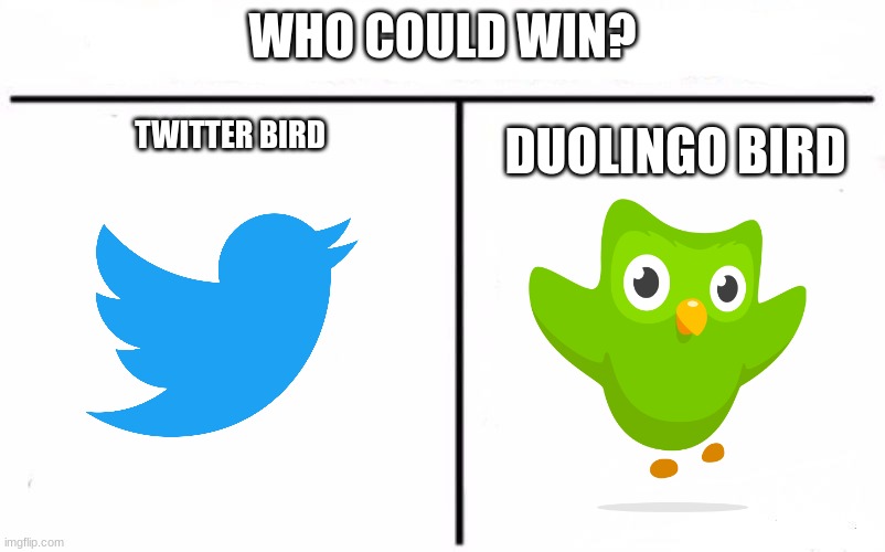 Who Would Win Blank | WHO COULD WIN? TWITTER BIRD; DUOLINGO BIRD | image tagged in who would win blank,twitter,duolingo,duolingo bird | made w/ Imgflip meme maker