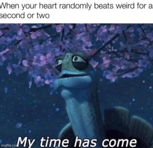 image tagged in memes,funny | made w/ Imgflip meme maker