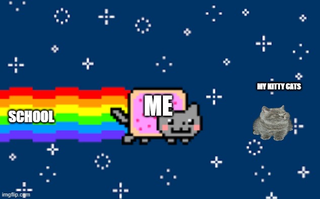 Mew | MY KITTY CATS; ME; SCHOOL | image tagged in nyan cat,school,cats,cat | made w/ Imgflip meme maker