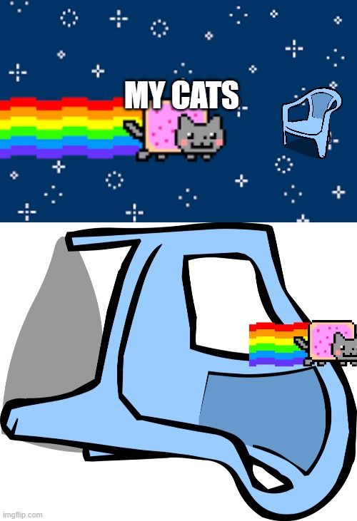 MY CATS | image tagged in nyan cat,blue chair,cats,cat,annoying,gotta go fast | made w/ Imgflip meme maker