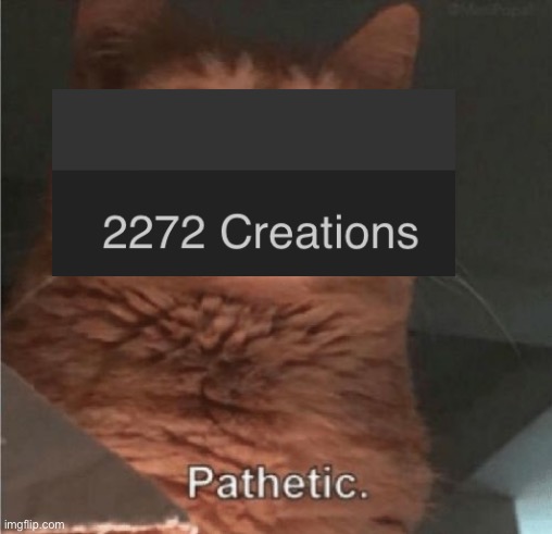 Pathetic Cat | image tagged in pathetic cat | made w/ Imgflip meme maker