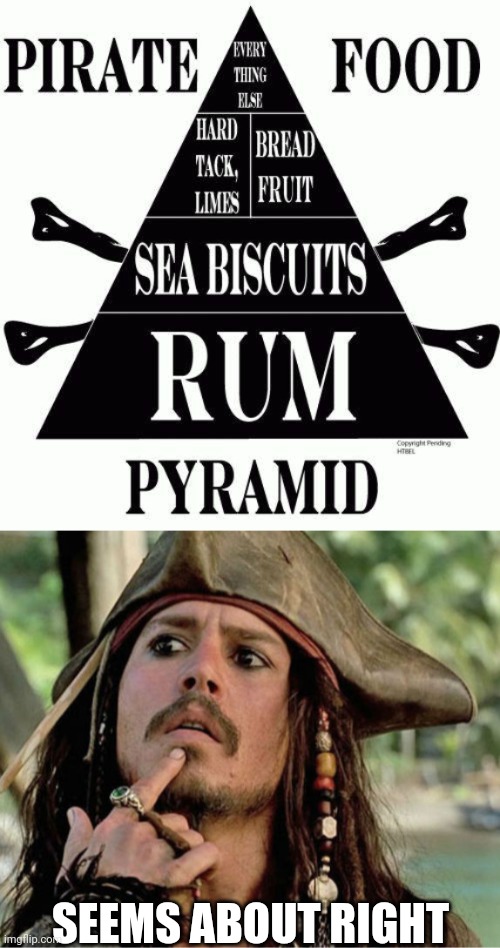 WE NEED PIZZA ON THERE | SEEMS ABOUT RIGHT | image tagged in jack sparrow,rum,pirates,pirate | made w/ Imgflip meme maker