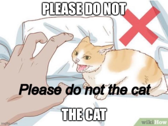 Please do not the cat | PLEASE DO NOT; THE CAT | image tagged in please do not the cat | made w/ Imgflip meme maker