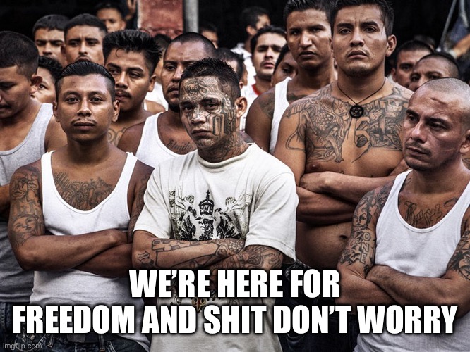 ms-13 dreamers daca | WE’RE HERE FOR FREEDOM AND SHIT DON’T WORRY | image tagged in ms-13 dreamers daca | made w/ Imgflip meme maker