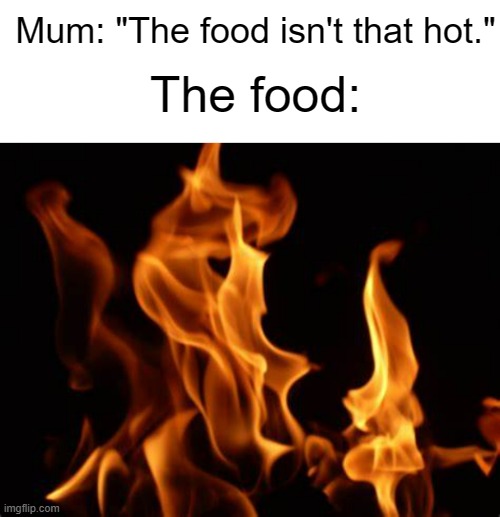 Bad title goes here | Mum: "The food isn't that hot."; The food: | image tagged in text box,funny,memes,funny memes,so true,relatable | made w/ Imgflip meme maker