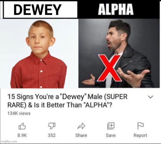 15 signs your a “Dewey” male (SUPER RARE) and is it better than “ALPHA”? | image tagged in msmg,relatable,the 2nd tag is correct,the 3rd tag is correct,the 4th tag is correct,the 5th tag is correct | made w/ Imgflip meme maker
