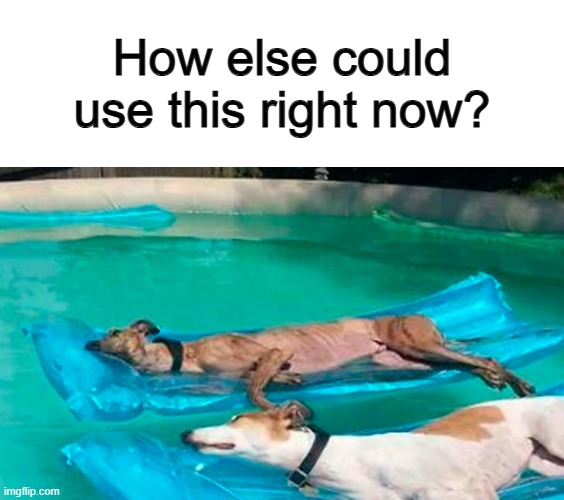 That looks very relaxing... | How else could use this right now? | made w/ Imgflip meme maker