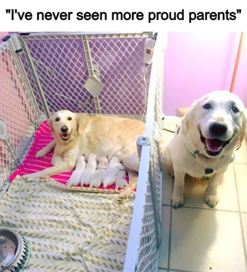 :] | "I've never seen more proud parents" | made w/ Imgflip meme maker