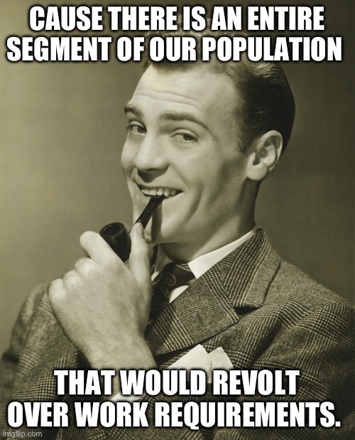 Smug | CAUSE THERE IS AN ENTIRE SEGMENT OF OUR POPULATION THAT WOULD REVOLT OVER WORK REQUIREMENTS. | image tagged in smug | made w/ Imgflip meme maker