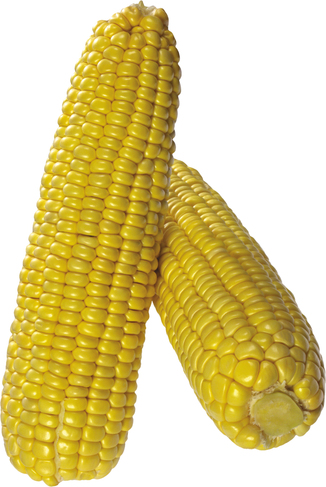 corn Blank Meme Template