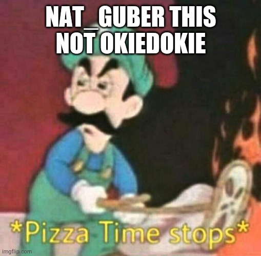 Pizza time stops | NAT_GUBER THIS NOT OKIEDOKIE | image tagged in pizza time stops | made w/ Imgflip meme maker