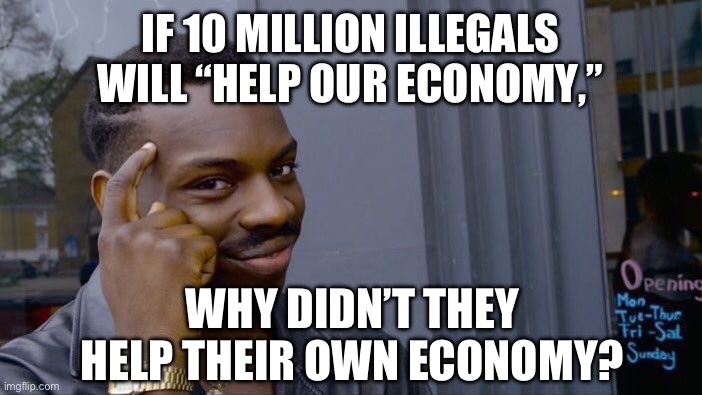 Liberals don’t think. | IF 10 MILLION ILLEGALS WILL “HELP OUR ECONOMY,”; WHY DIDN’T THEY HELP THEIR OWN ECONOMY? | image tagged in memes,roll safe think about it | made w/ Imgflip meme maker