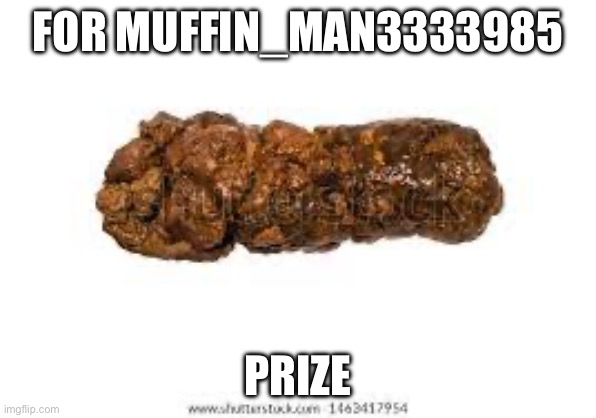 FOR MUFFIN_MAN3333985; PRIZE | image tagged in funny | made w/ Imgflip meme maker