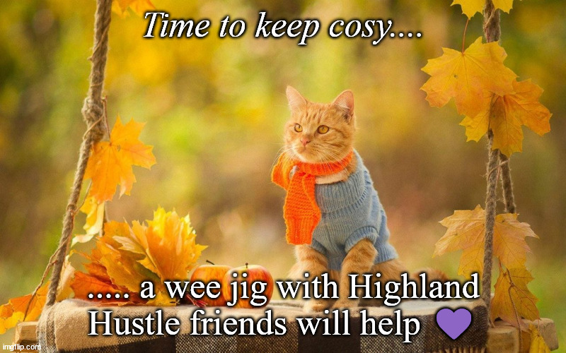 cosy cat | Time to keep cosy.... ..... a wee jig with Highland Hustle friends will help 💜 | image tagged in hustle,cat | made w/ Imgflip meme maker