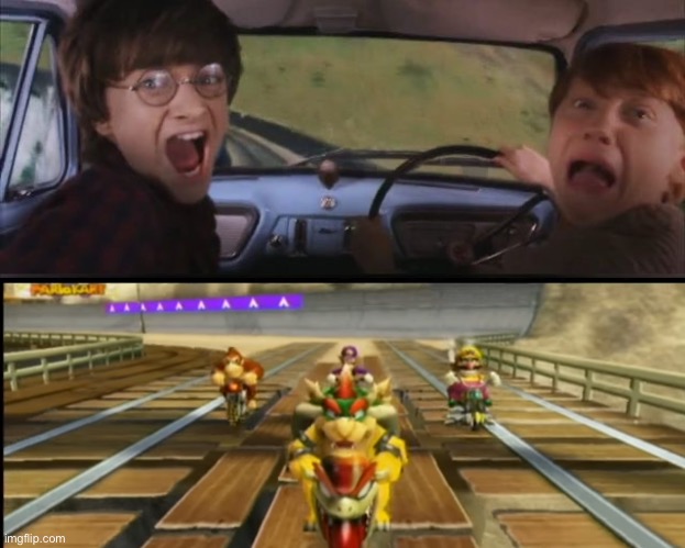 Ron Weasley and Harry Potter scared of Bowser, DK, and theW Bros Blank Meme Template