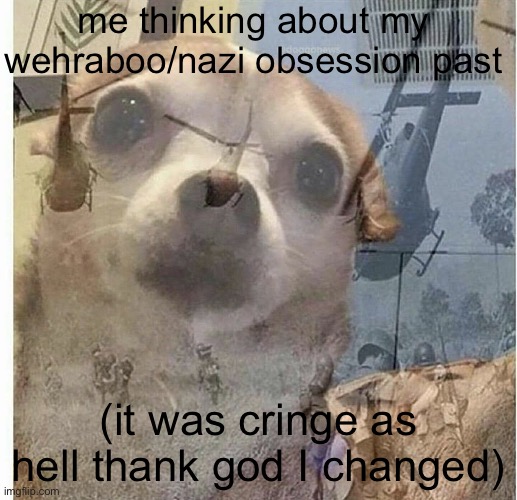 not good | me thinking about my wehraboo/nazi obsession past; (it was cringe as hell thank god I changed) | image tagged in ptsd chihuahua | made w/ Imgflip meme maker