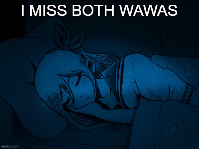 wawa needs coffee and wawawooba | I MISS BOTH WAWAS | image tagged in auby sleep | made w/ Imgflip meme maker