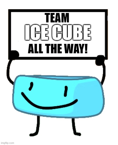 TEAM ❄ CUBE ALL THE WAY! | ICE CUBE; TEAM; ALL THE WAY! | image tagged in bracelety sign,bored,idk | made w/ Imgflip meme maker