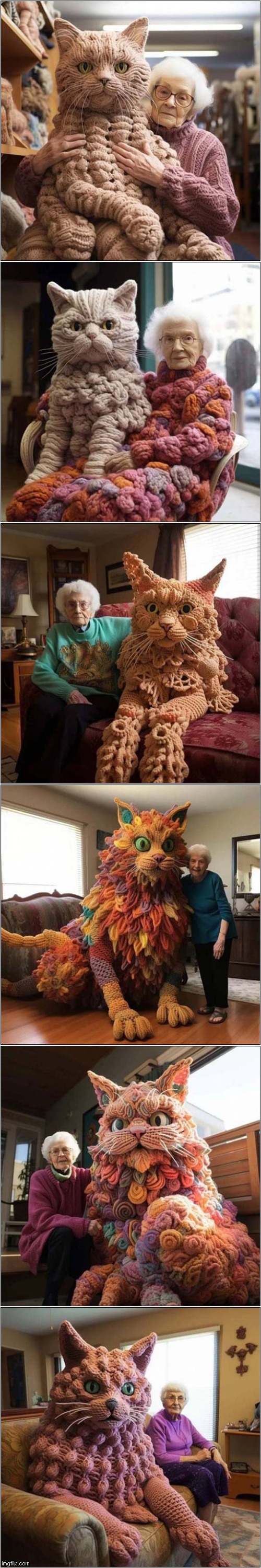 Grannies: They Can Knit More Than Socks ! | image tagged in cats,granny,knitting | made w/ Imgflip meme maker