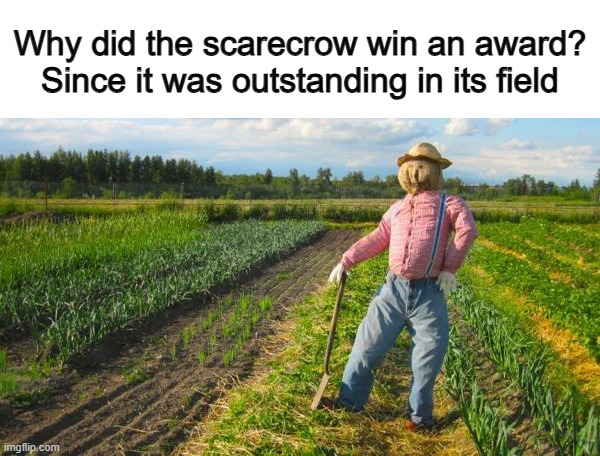 ... | Why did the scarecrow win an award? Since it was outstanding in its field | image tagged in scarecrow in field | made w/ Imgflip meme maker