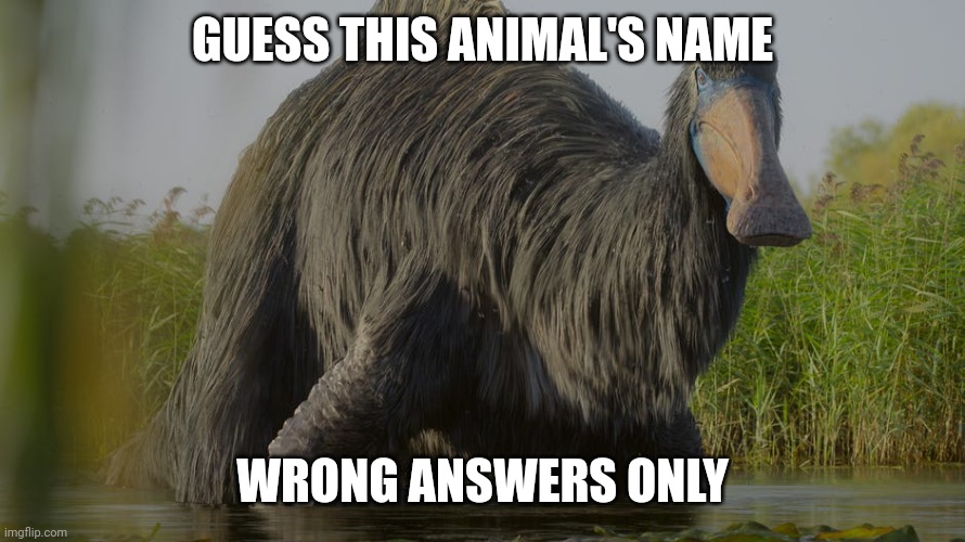 Deinocheirus | GUESS THIS ANIMAL'S NAME; WRONG ANSWERS ONLY | made w/ Imgflip meme maker