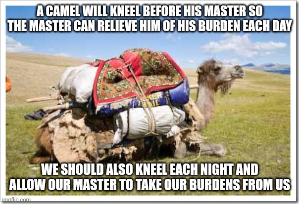 Laden camel | A CAMEL WILL KNEEL BEFORE HIS MASTER SO THE MASTER CAN RELIEVE HIM OF HIS BURDEN EACH DAY; WE SHOULD ALSO KNEEL EACH NIGHT AND ALLOW OUR MASTER TO TAKE OUR BURDENS FROM US | image tagged in laden camel | made w/ Imgflip meme maker