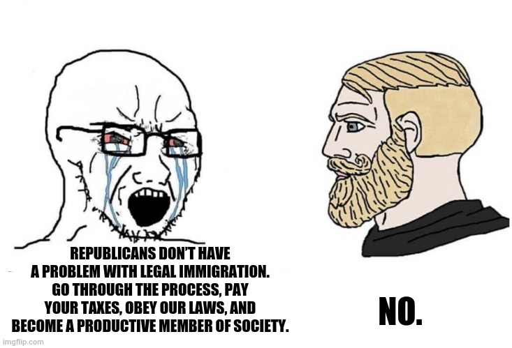 Soyboy Vs Yes Chad | NO. REPUBLICANS DON’T HAVE A PROBLEM WITH LEGAL IMMIGRATION. GO THROUGH THE PROCESS, PAY YOUR TAXES, OBEY OUR LAWS, AND BECOME A PRODUCTIVE MEMBER OF SOCIETY. | image tagged in soyboy vs yes chad | made w/ Imgflip meme maker