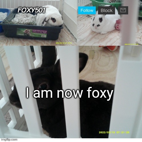 We do a lil amount of trolling | I am now foxy | image tagged in foxy501 announcement template | made w/ Imgflip meme maker