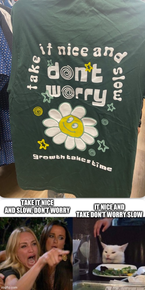 Fr | TAKE IT NICE AND SLOW, DON’T WORRY; IT NICE AND TAKE DON’T WORRY SLOW | image tagged in memes,woman yelling at cat,t-shirt | made w/ Imgflip meme maker