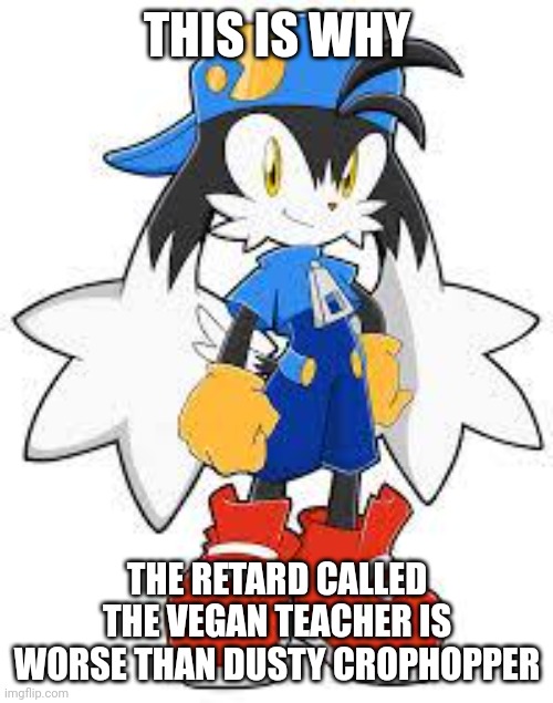 Klonoa | THIS IS WHY THE RETARD CALLED THE VEGAN TEACHER IS WORSE THAN DUSTY CROPHOPPER | image tagged in klonoa | made w/ Imgflip meme maker